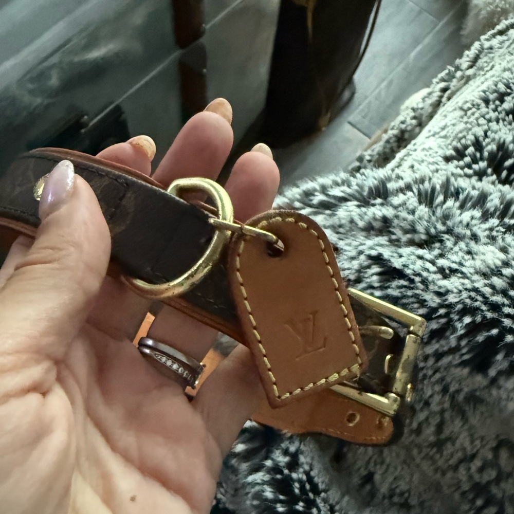 Large size collar and leash set